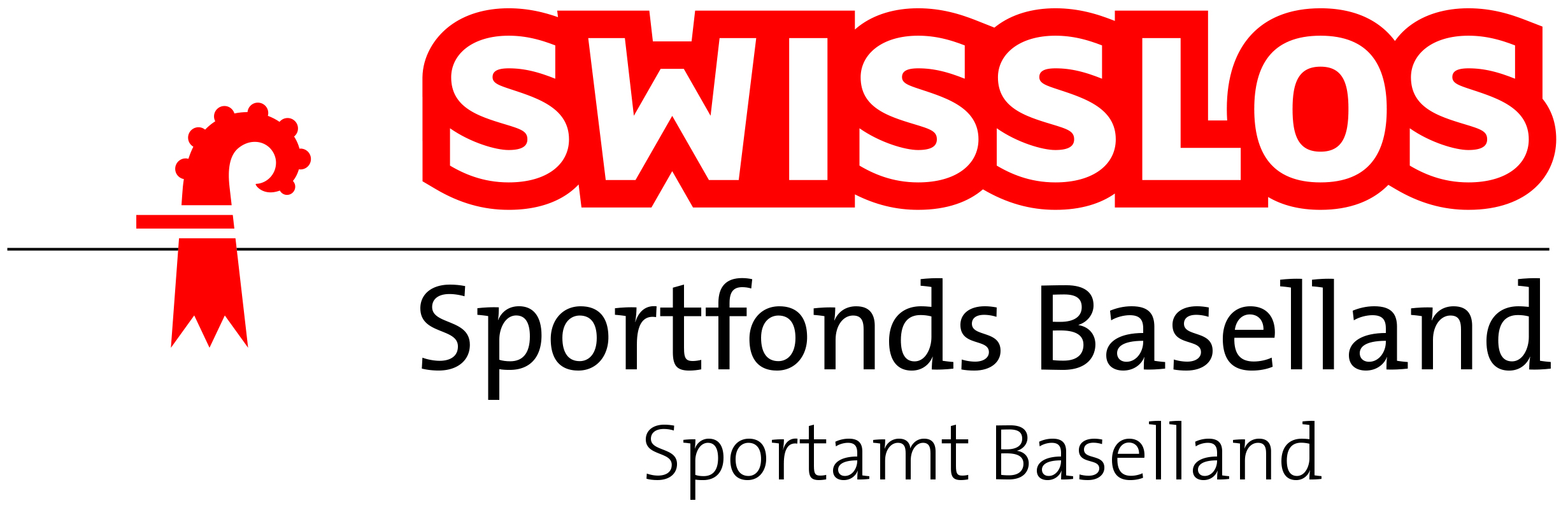 Hauptsponsor